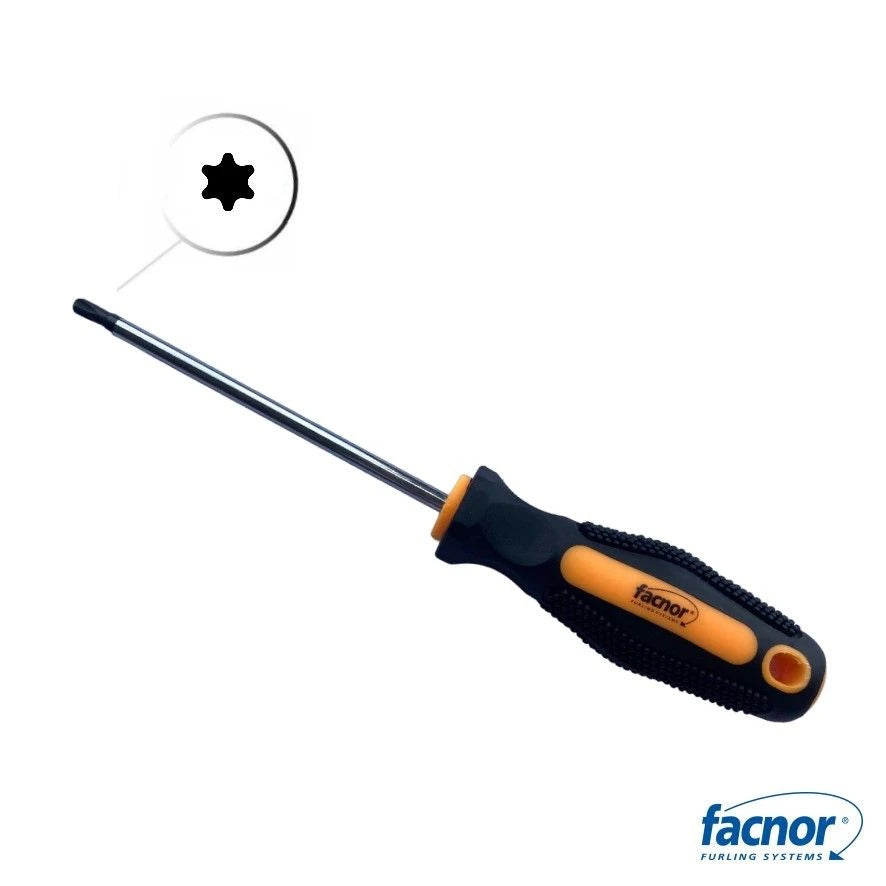 Torx screw driver