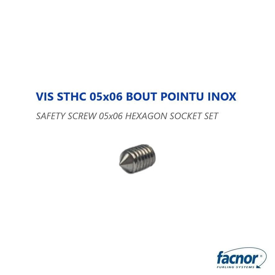 Screw (safety) 05×06 hexagon socket