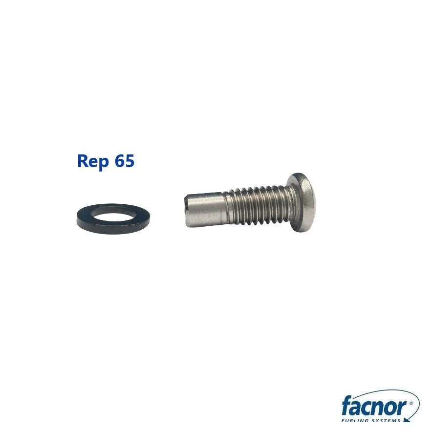 Screw with washer for telescopic section for EC47
