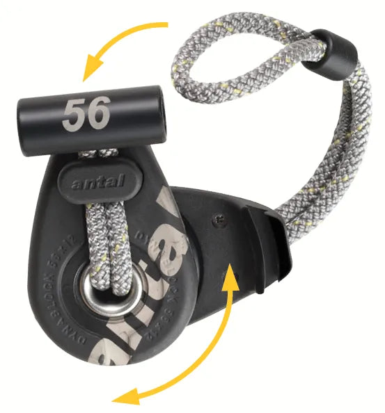 DBS56